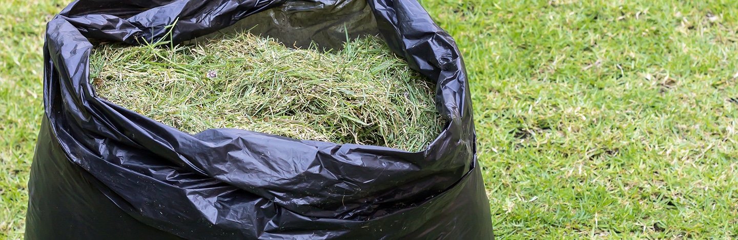 Removal of Yard Waste Bags